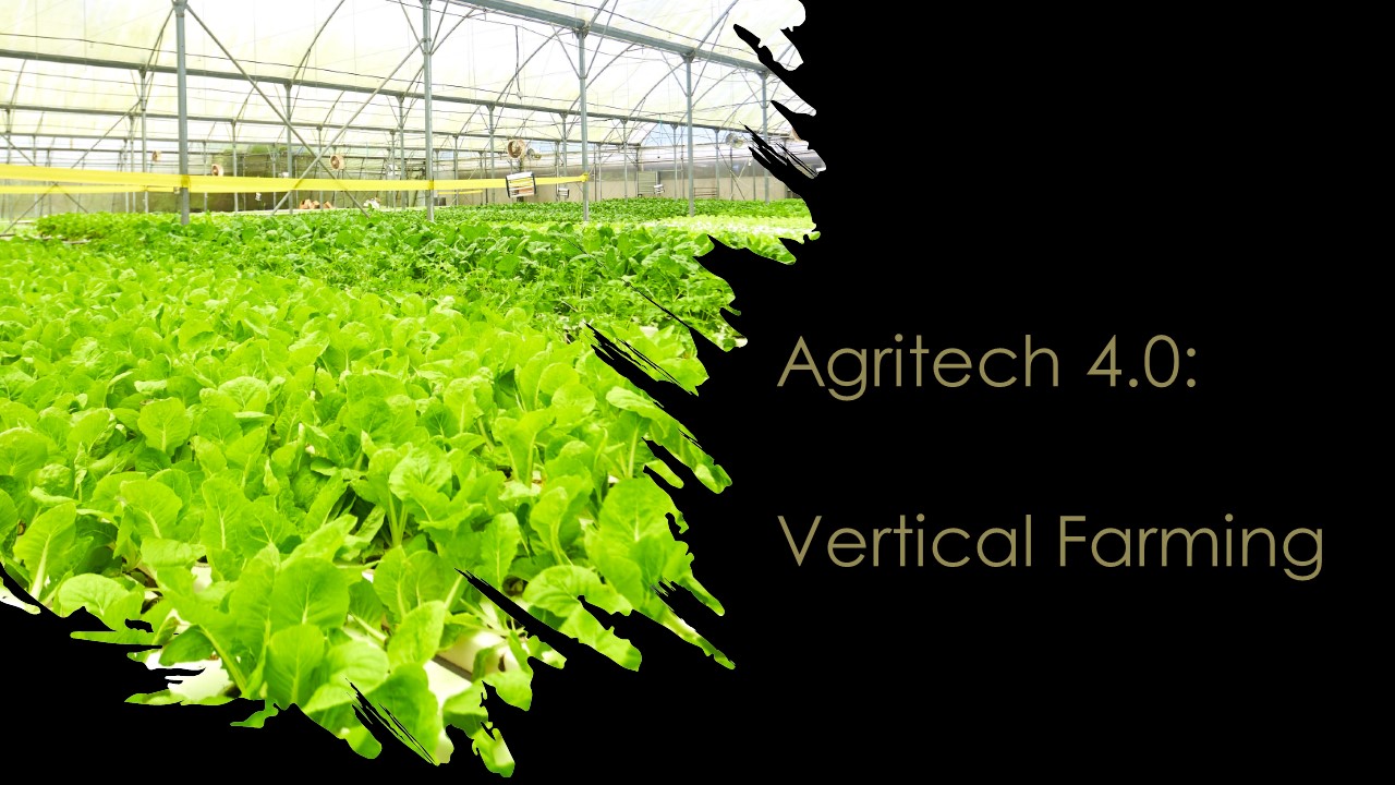 COURSE TPA-31 AGRITECH 4.0 – VERTICAL FARMING